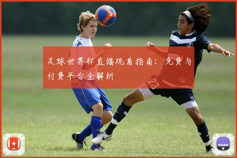足球世界杯直播观看指南:免费与付费平台全解析