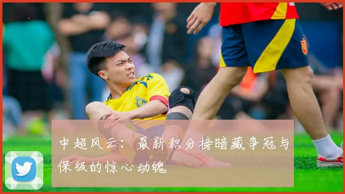 中超风云：最新积分榜暗藏争冠与保级的惊心动魄