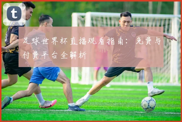 足球世界杯直播观看指南:免费与付费平台全解析